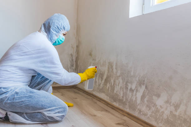 Licensed Commercial Mold Remediation service in Doylestown, PA - WQB Mold Removal