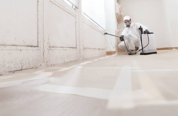 24/7 Emergency Commercial Mold Remediation experts in Doylestown, PA