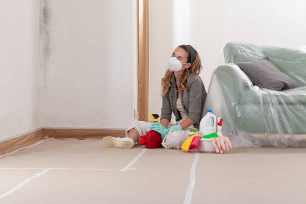 Reliable Commercial Mold Remediation contractor in Doylestown, PA by WQB Mold Removal